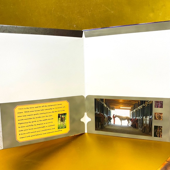 HORSES VINTAGE 90’s PORTFOLIO 3 RING BINDER FOLDERS BUNDLE OF 3 GREAT FOR SCHOOL - Picture 11 of 13